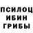Псилоцибиновые грибы Psilocybine cubensis Anna Vilver