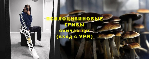СК Бугульма