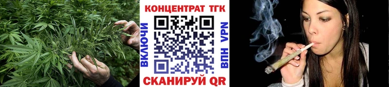 ТГК Wax  Грозный 